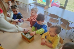 495594589_1371075577910245_8256977358184329281_n