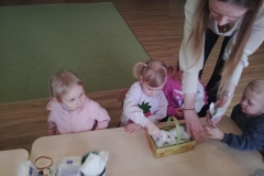 496924693_1371075477910255_8943821952442205971_n