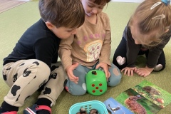 Liski Październik 2022