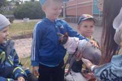 IMG-20250514-WA0072