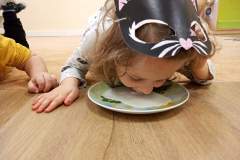 FB_IMG_1651872309474