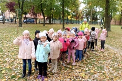 PAŹDZIERNIK 2023 SHARKS