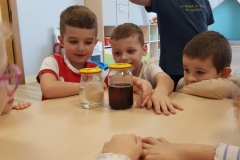 Pingwinki Marzec 2025