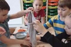 247335581_886419802312794_6193227790514786278_n