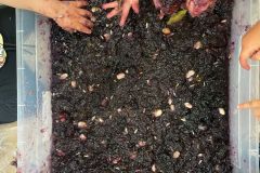 IMG-20260512-WA0014