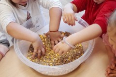 Pszczółki Styczeń 2023