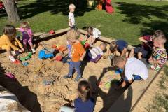 Pszczółki Wrzesień 2023