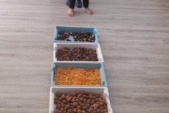 494444952_1358952772455859_6031454230789777898_n