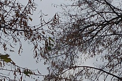 trashed-1671097946-IMG_20221114_110455