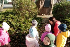 312108205_643934350624375_8169889937913329807_n