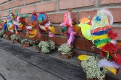 IMG_20250610_094321