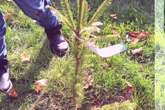 245907881_1974677902697387_1005505357880511252_n