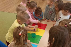 248195446_1783853271818243_2558516351720971495_n