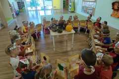 IMG-20250925-WA0069