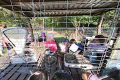 370100095_194708006983426_8285952984246065676_n