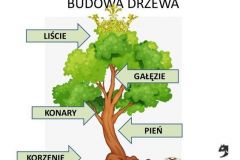 9ca5da235e7d364750effc47ec946c51