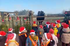 603798912_1569754341375700_601051738595759693_n