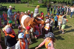 IMG_20230530_091653